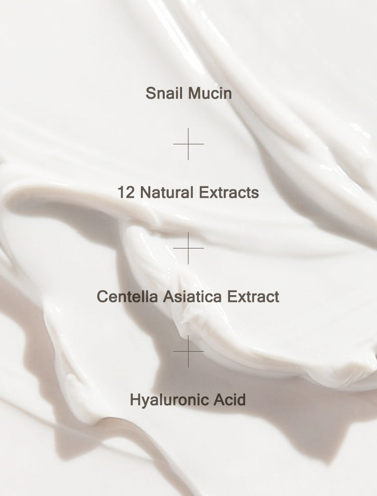 MIZON - ALL IN ONE SNAIL REPAIR CREAM